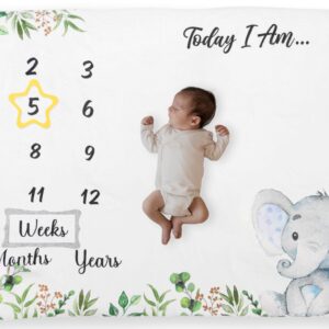 Baby Milestone Blanket - 60"×40" Photogenic Blanket